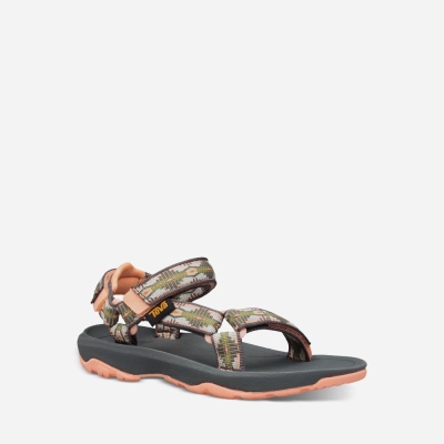 Teva Hurricane XLT 2 Kids' Grey / Orange Hiking Sandals CA74711 Canada Online